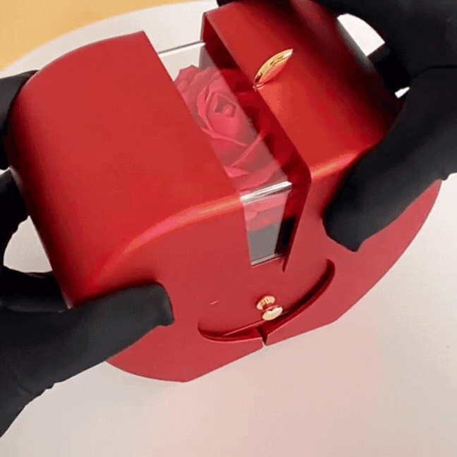 Dearvella Eternal Love Clover Necklace – To My Beautiful Daughter